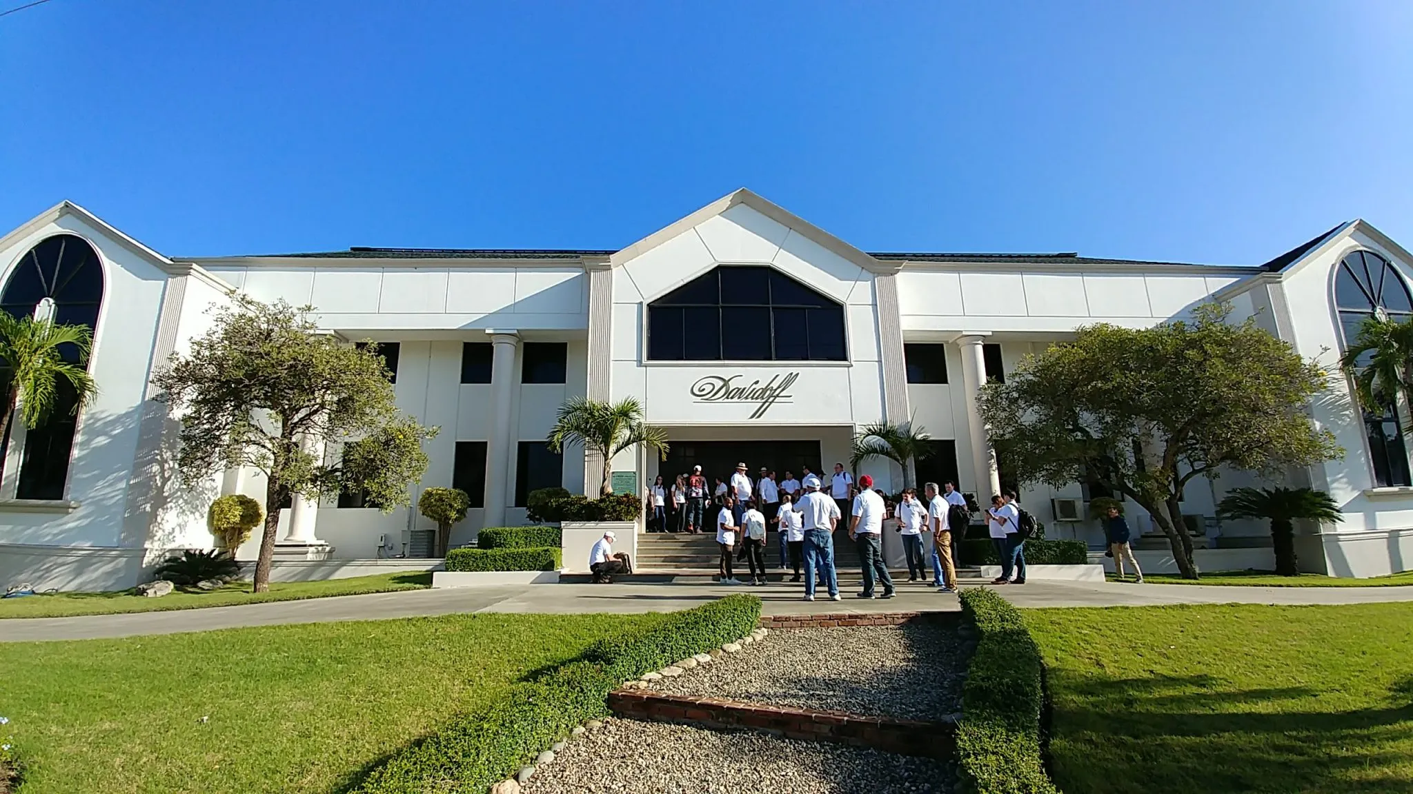 DAVIDOFF – VIAJE AL ORIGEN!