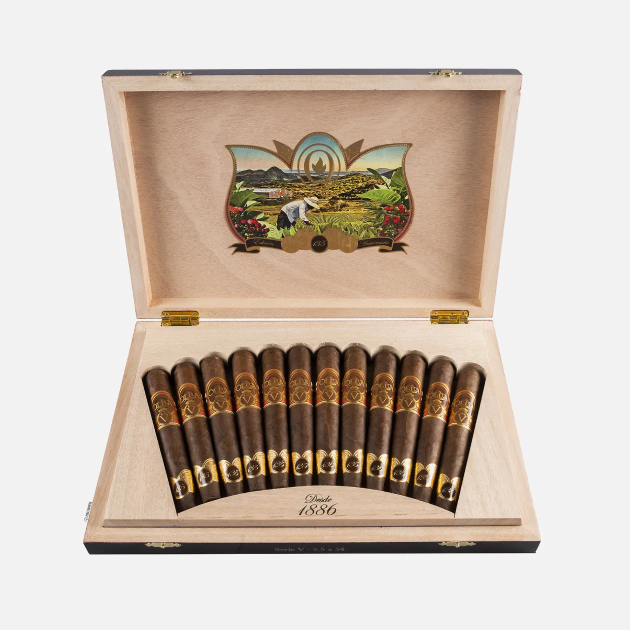 Oliva Serie V cigars in an elegant wooden box with a vintage design.