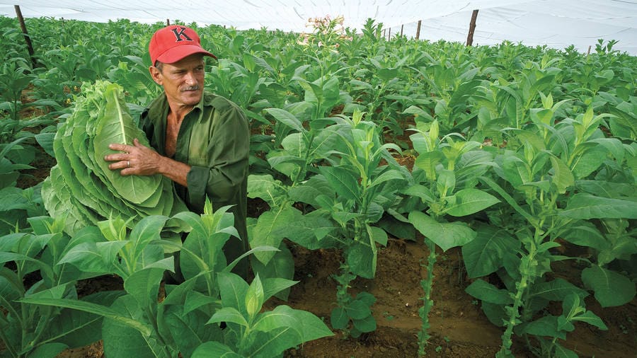 XXIII Habanos Festival in Havana